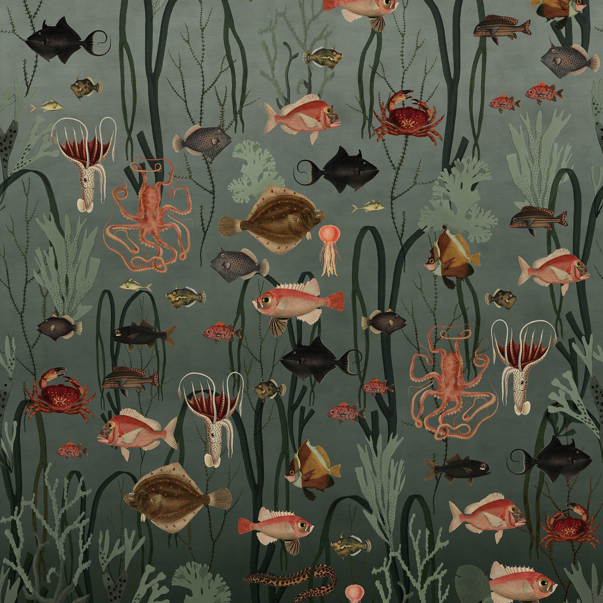 Wallpaper
